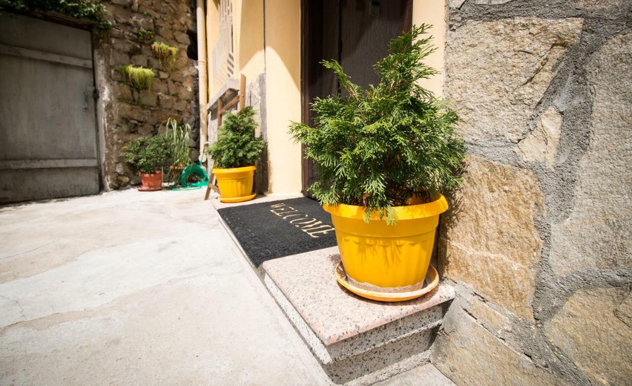 The Rocky House - Central & Private 2Bdr By Flat Mаnager Plovdiv Extérieur photo